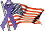 United State American Flag