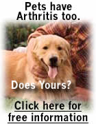 Help your pets who suffer from joint pain.